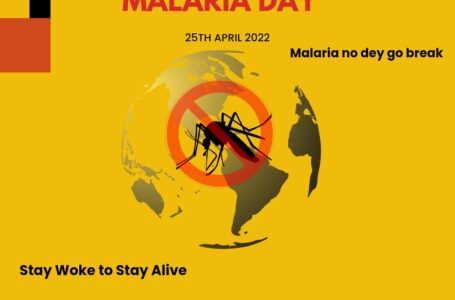 OYO GOVERNMENT DISTRIBUTES MOSQUITO NETS IN COMMEMORATION OF WORLD MALARIA DAY