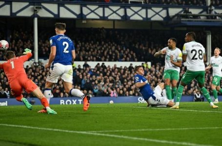 EVERTON LOOSE 4-1 TO NEWCASTLE AT HOME TO REMAIN IN THE DROP ZONE