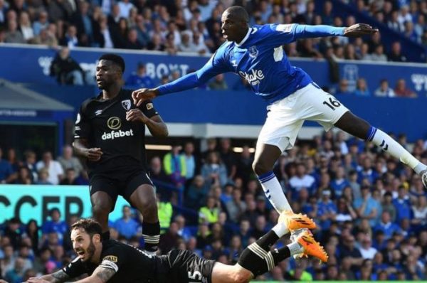 EVERTON SECURE PREMIER LEAGUE STATUS WITH 1-0 VICTORY OVER BOURNEMOUTH