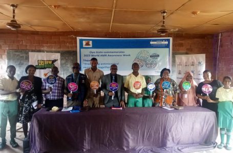 OYO GOVERNMENT, BA-N, USAID TAKE CAMPAIGN AGAINST ANTIMICROBIAL RESISTANCE TO IBADAN SCHOOL
